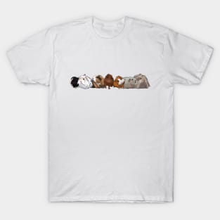 My Instagram Guinea Pig Group T-Shirt